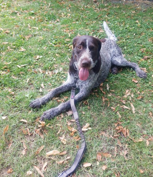 fotografie z akce NsHankou - Přes Kaňk do Polabí