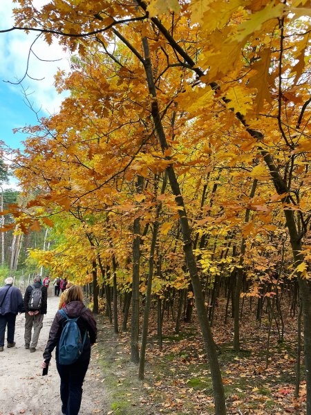 fotografie z akce NsHankou-Přírodní park Kersko