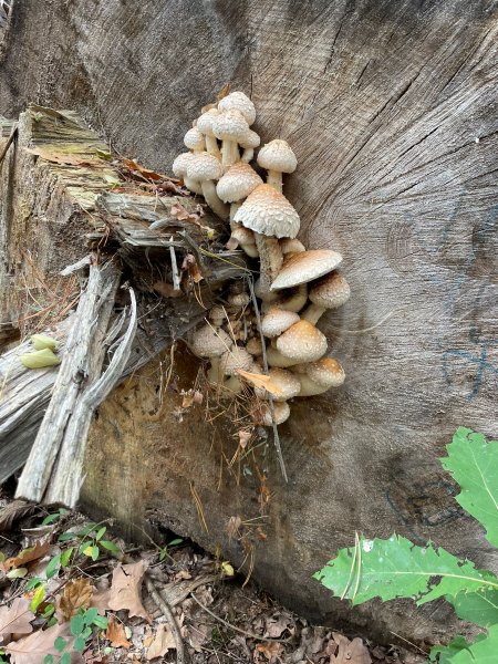 fotografie z akce NsHankou-Přírodní park Kersko