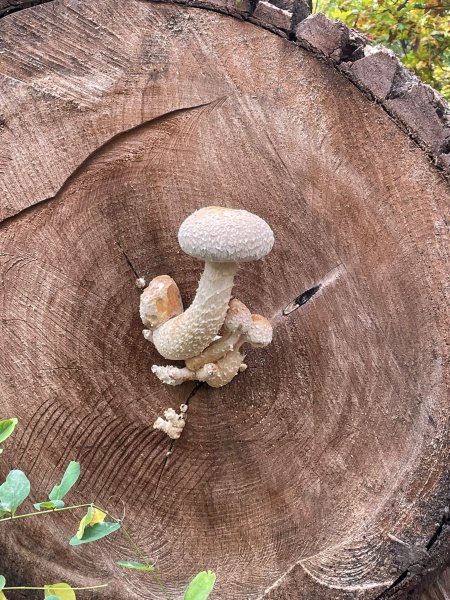 fotografie z akce NsHankou-Přírodní park Kersko