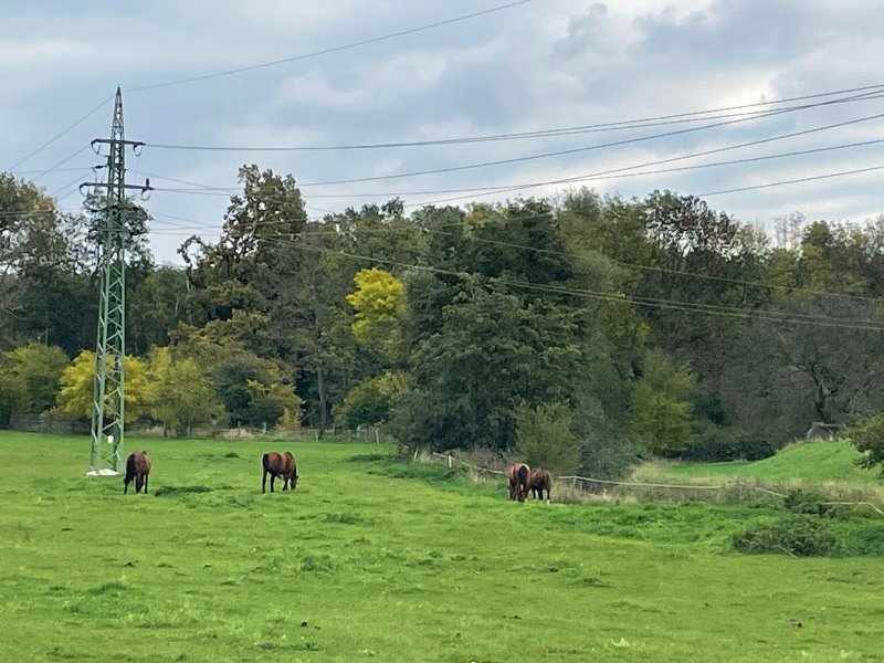 fotografie z akce NsHankou-Přírodní park Kersko