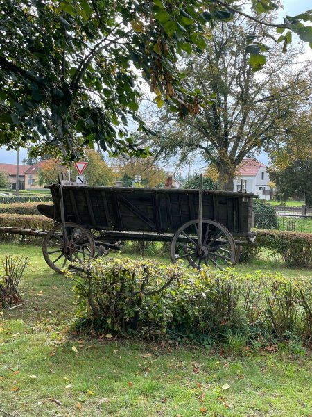 fotografie z akce NsHankou-Přírodní park Kersko