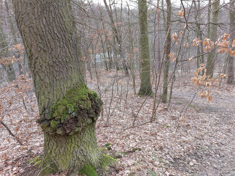 fotografie z akce NsHelčou - Povodím Botiče