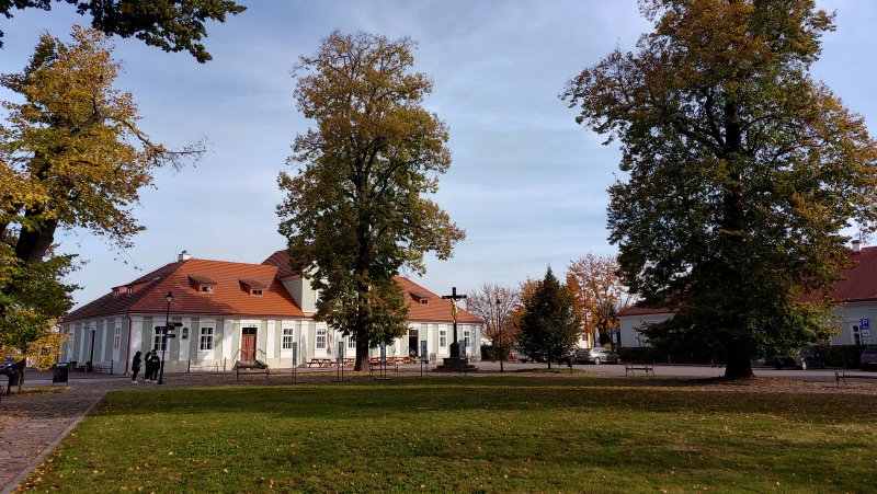 fotografie z akce NsI - Hřebčín Kladruby n/Labem