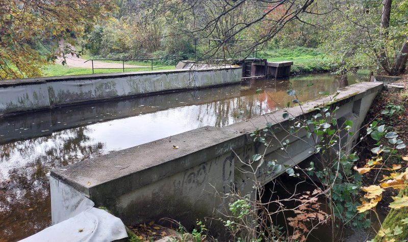 fotografie z akce NsI - Hřebčín Kladruby n/Labem