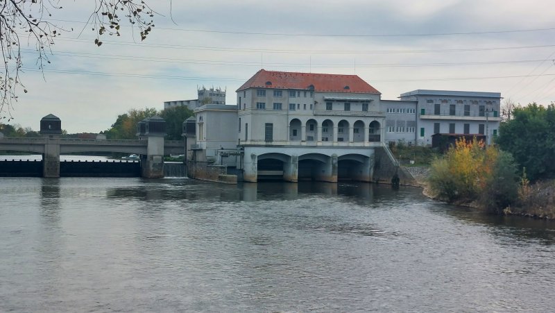 fotografie z akce NsI - Hřebčín Kladruby n/Labem