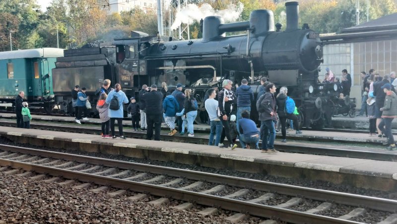 fotografie z akce NsI - Hřebčín Kladruby n/Labem