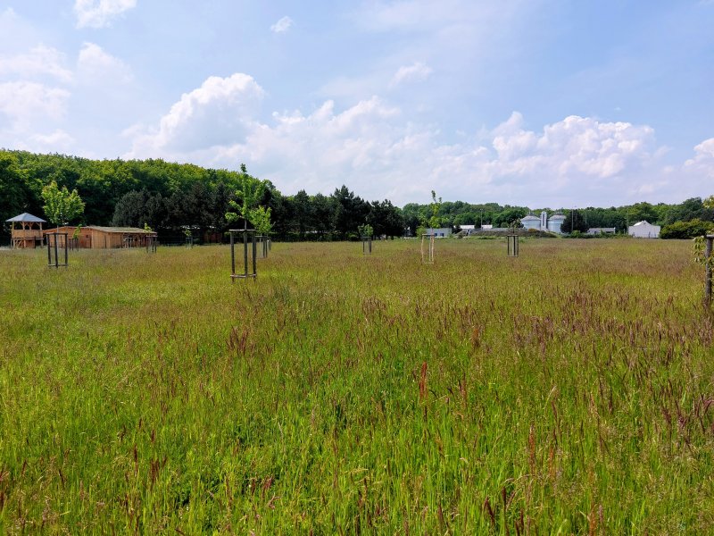fotografie z akce NsI - Kolínem a NS Borky