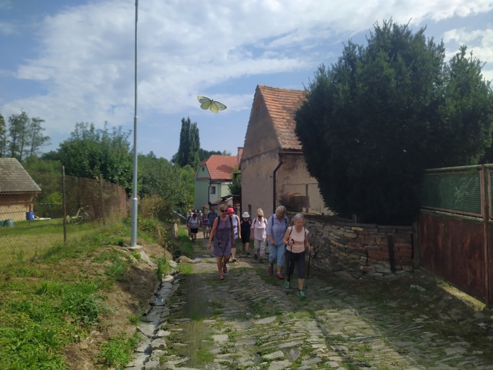 fotografie z akce NsI - Podél Výrovky do Zásmuk