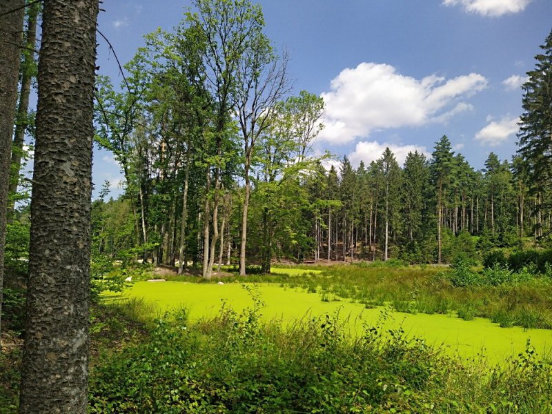 fotografie z akce NsI - Škvorec - Mukařov-10 km