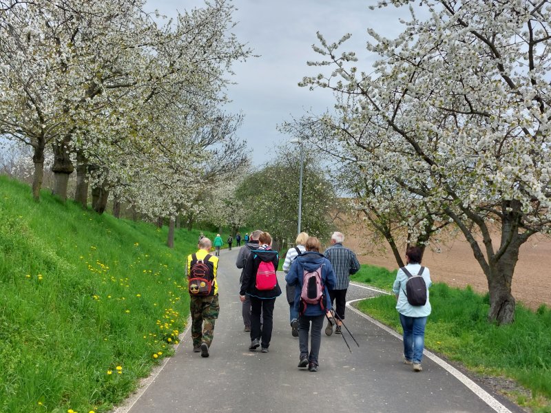 fotografie z akce NsI - Uhříněves - Koloděje