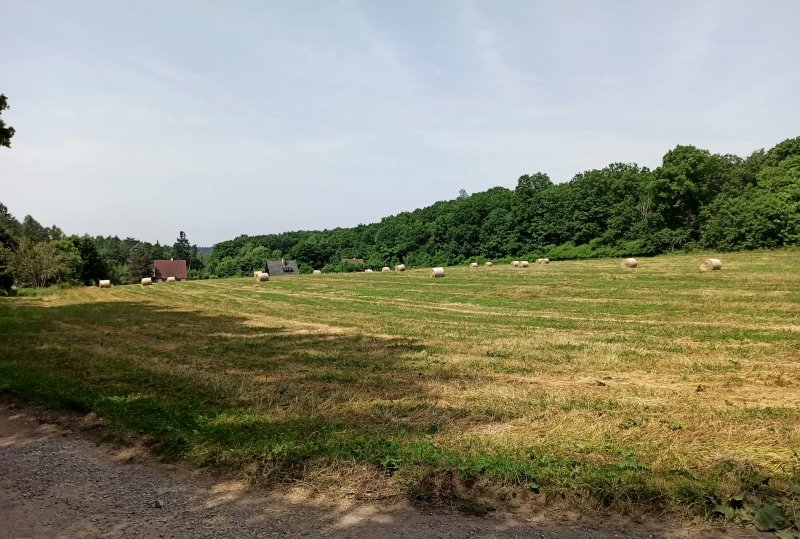 fotografie z akce NsJ.J.- Radotín - Černošice