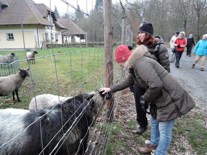 fotografie z akce NsL Běchovice   Klánovice