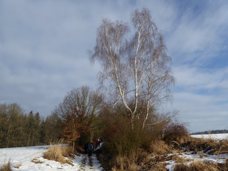 fotografie z akce NsL - Chocerady-Senohraby 13km