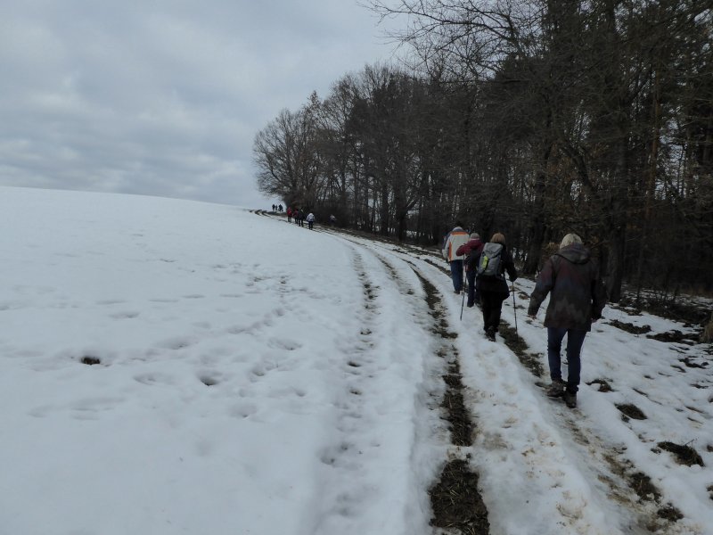 fotografie z akce NsL - Chocerady-Senohraby 13km