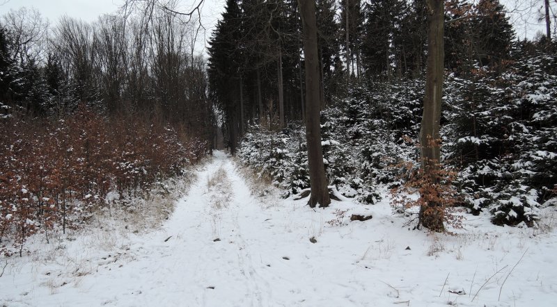 fotografie z akce NsL Konojedy Louňovice Mukařov