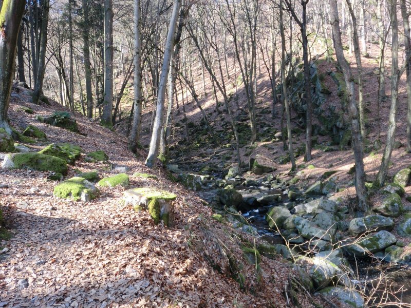 fotografie z akce S Líbou do Kostelce- Šembera