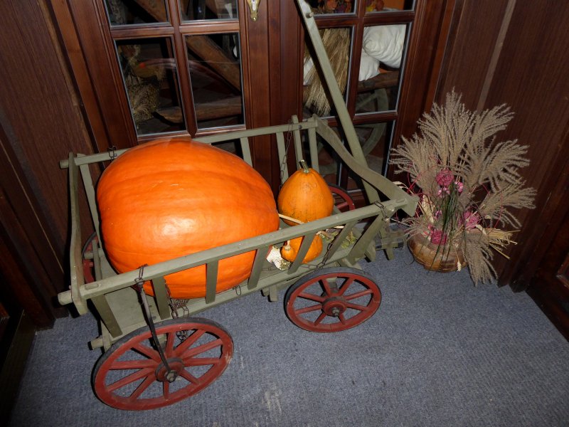 fotografie z akce NsL - Loděnice-Beroun - 13 km