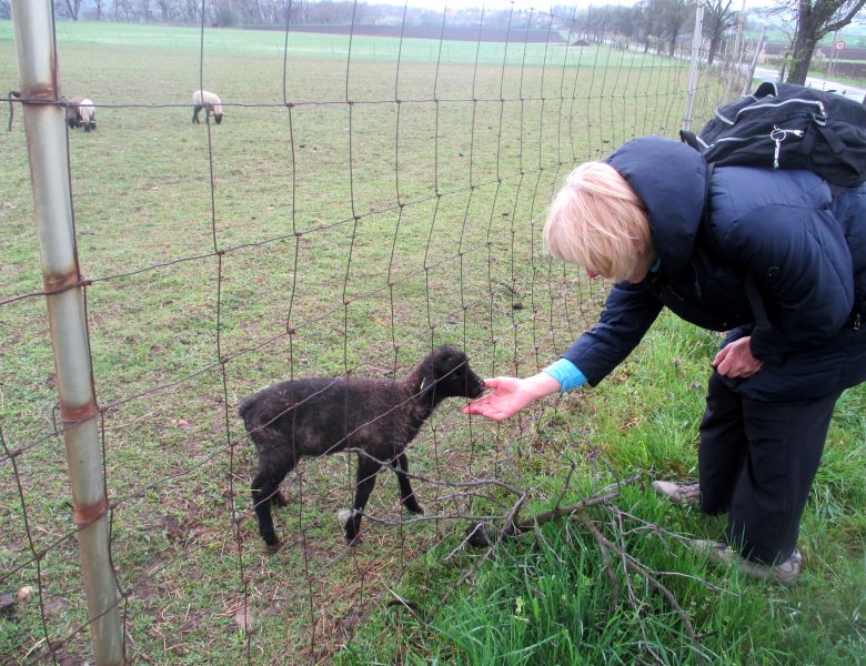 fotografie z akce NsL-Mlčechvosty-Kralupy n/V