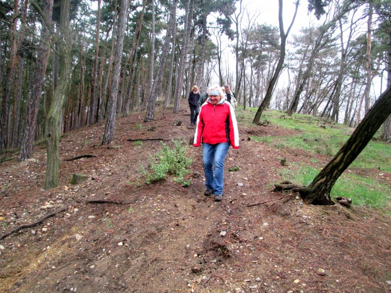 fotografie z akce NsL-Mlčechvosty-Kralupy n/V