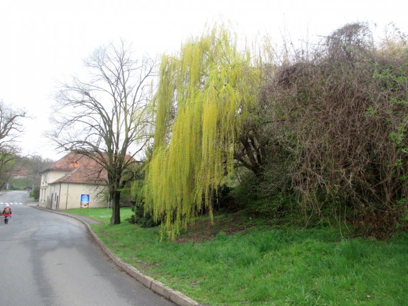 fotografie z akce NsL-Mlčechvosty-Kralupy n/V
