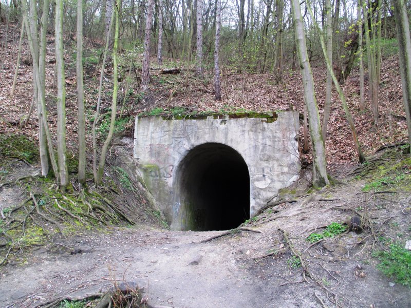 fotografie z akce NsL-Mlčechvosty-Kralupy n/V