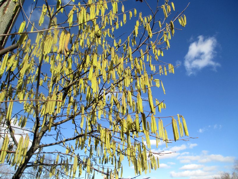 fotografie z akce NsL - Oleška-Kostelec nad Č.L.