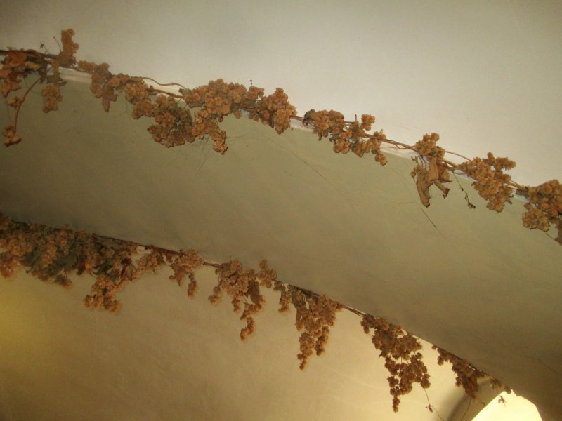 fotografie z akce NsL - Oleška-Kostelec nad Č.L.