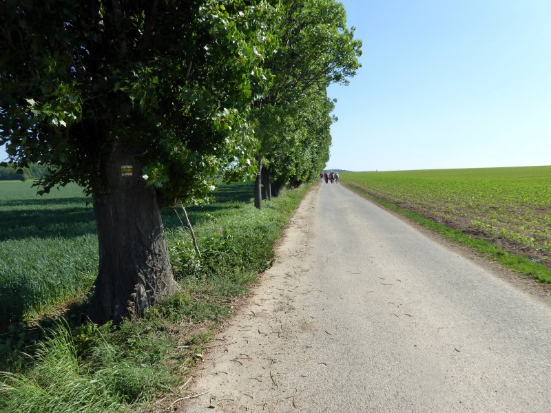 fotografie z akce NsL - Přítoky-K.Hora - 11,5 km