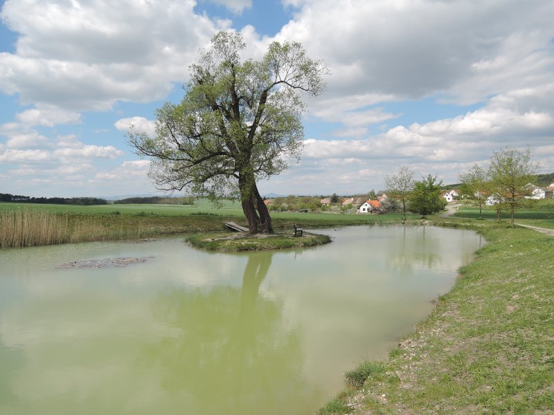 fotografie z akce NsL Roudnice Hora Říp