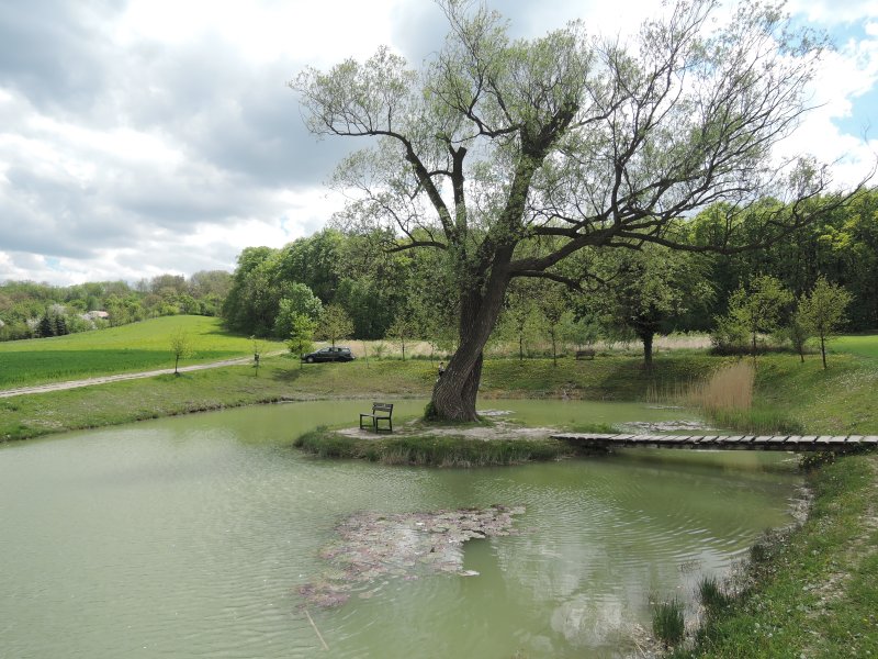 fotografie z akce NsL Roudnice Hora Říp