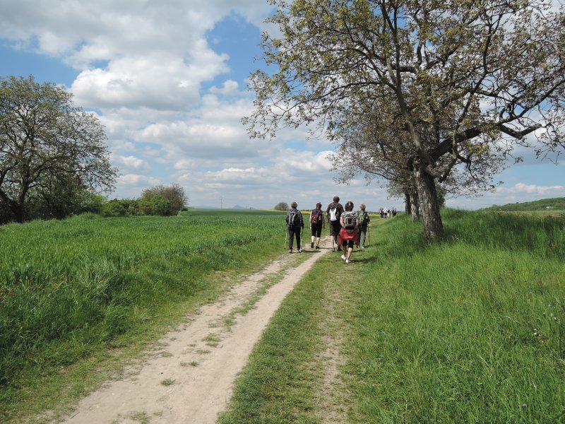 fotografie z akce NsL Roudnice Hora Říp