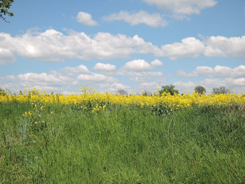 fotografie z akce NsL Roudnice Hora Říp