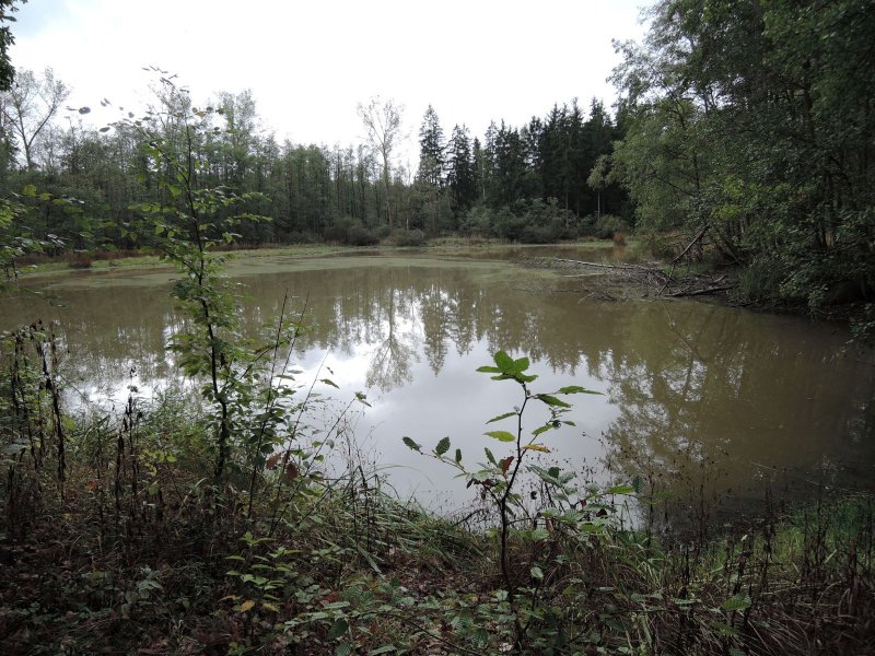 fotografie z akce NsL Stará Huť Čapkovo muzeum