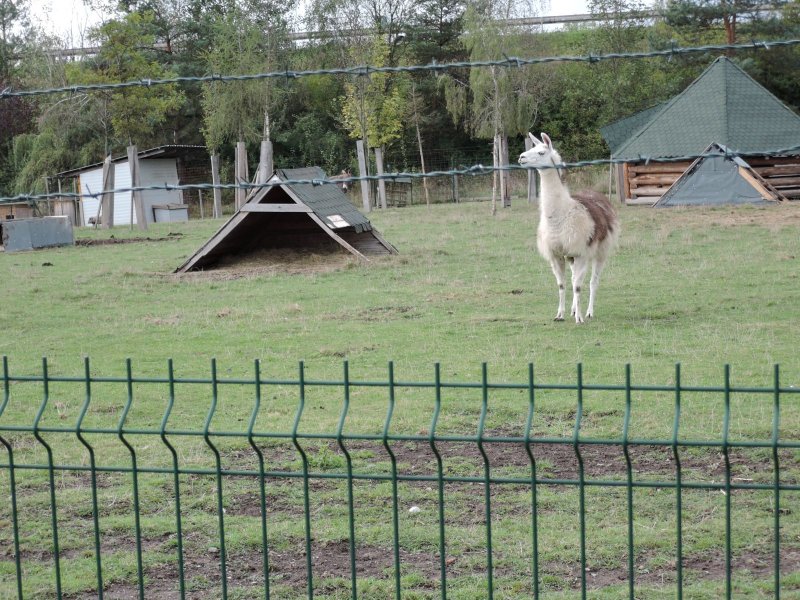 fotografie z akce NsL Stará Huť Čapkovo muzeum