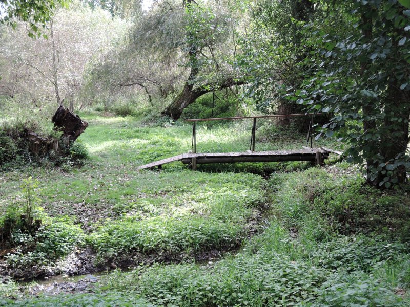 fotografie z akce NsL Stará Huť Čapkovo muzeum