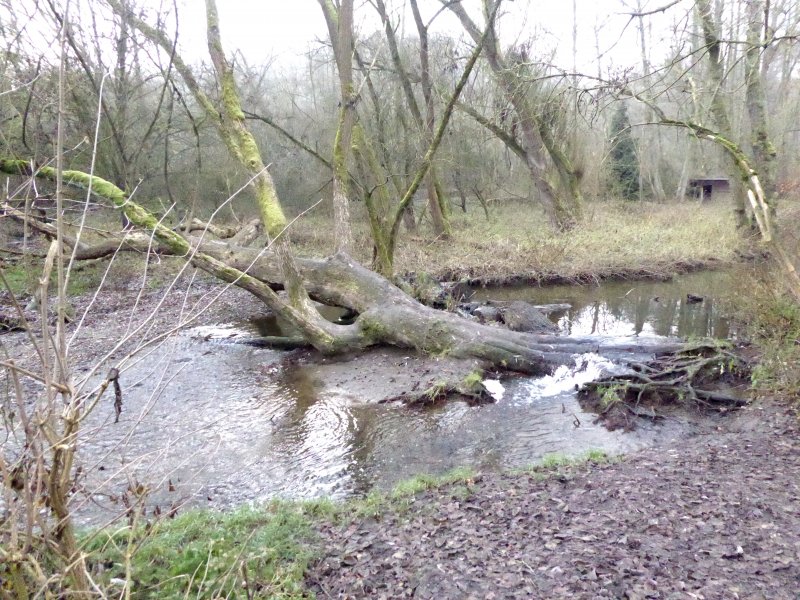 fotografie z akce NsL - Tichým údolím do Žalova