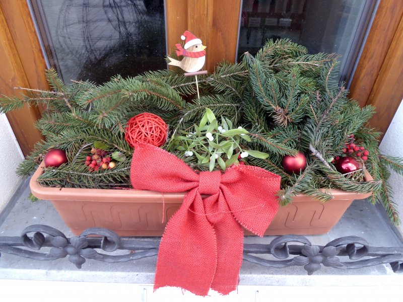 fotografie z akce NsL - Tichým údolím do Žalova