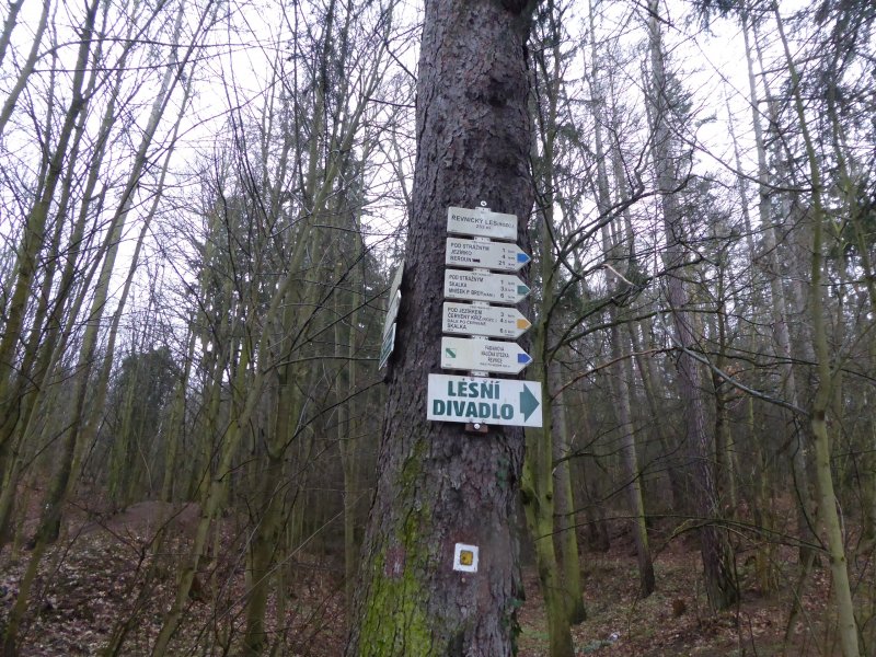 fotografie z akce NsL- z Řevnic do Bojova - 15km