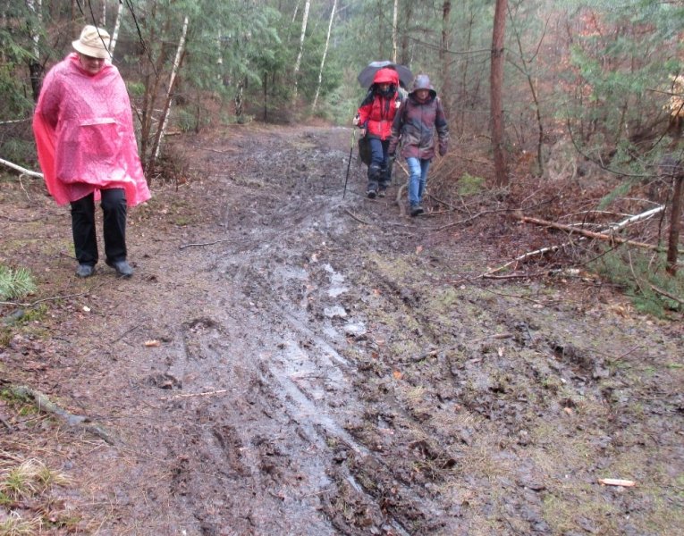fotografie z akce NsL- z Řevnic do Bojova - 15km