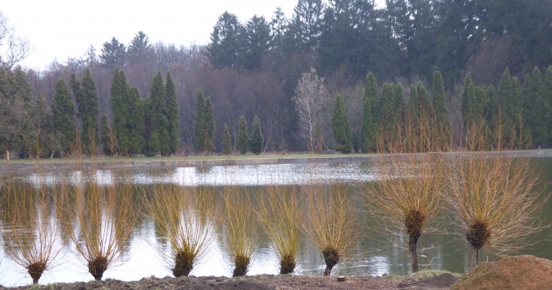 fotografie z akce NsL- z Řevnic do Bojova - 15km