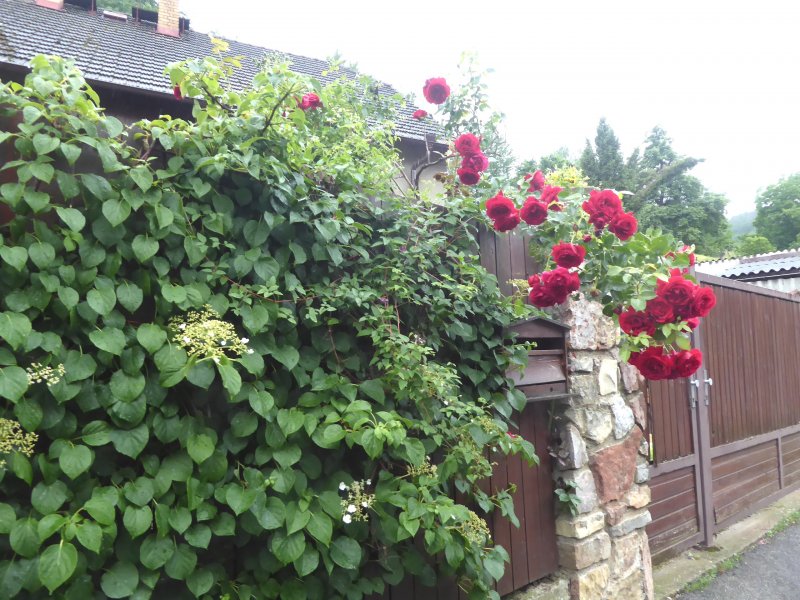 fotografie z akce NsL - Zdice-Vraní skála-Zdice 