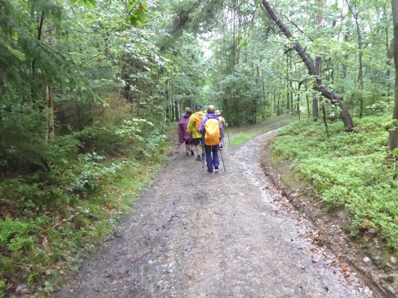 fotografie z akce NsL - Zdice-Vraní skála-Zdice 