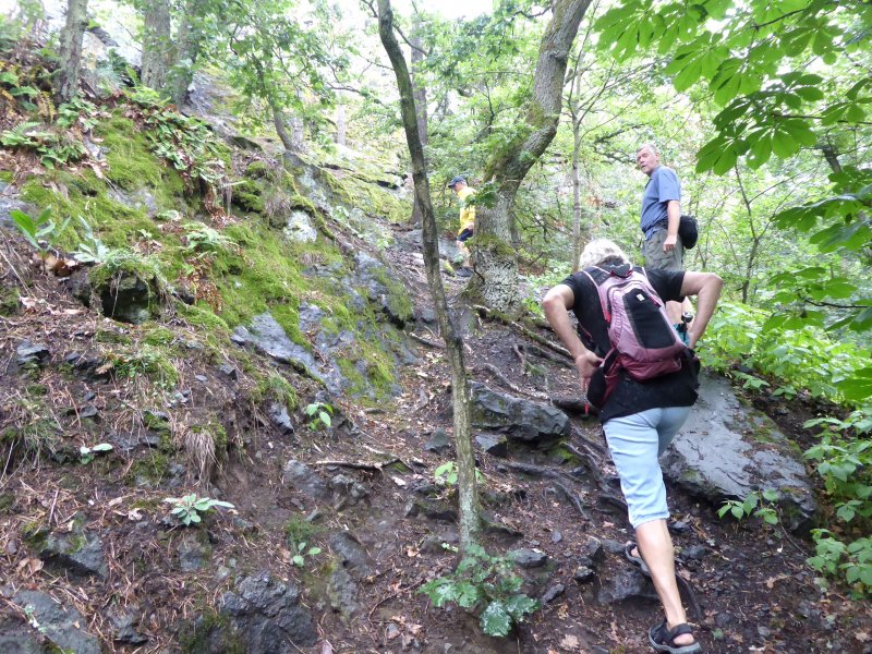 fotografie z akce NsL - Zdice-Vraní skála-Zdice 