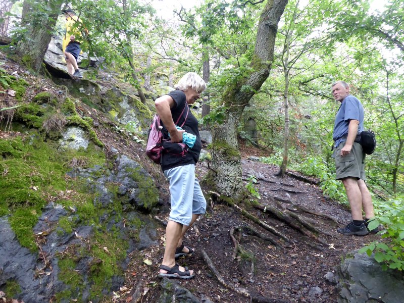 fotografie z akce NsL - Zdice-Vraní skála-Zdice 