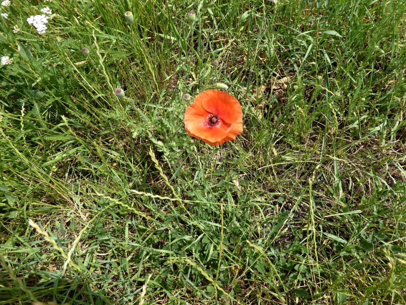 fotografie z akce NsL - Zdice-Vraní skála-Zdice 