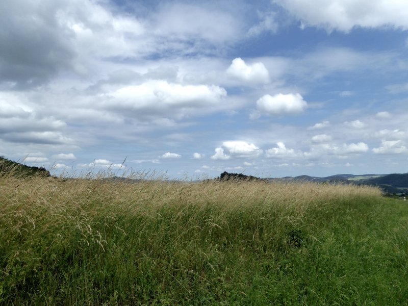 fotografie z akce NsL - Zdice-Vraní skála-Zdice 