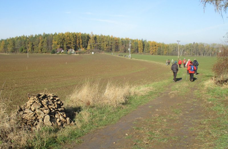 fotografie z akce NsL - Zásmuky - Kouřim 15 km