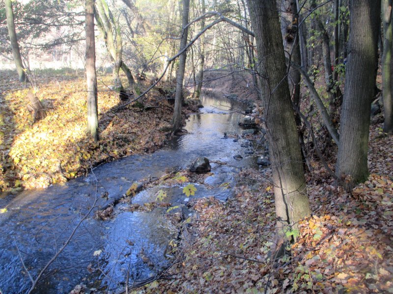 fotografie z akce NsL - Zásmuky - Kouřim 15 km