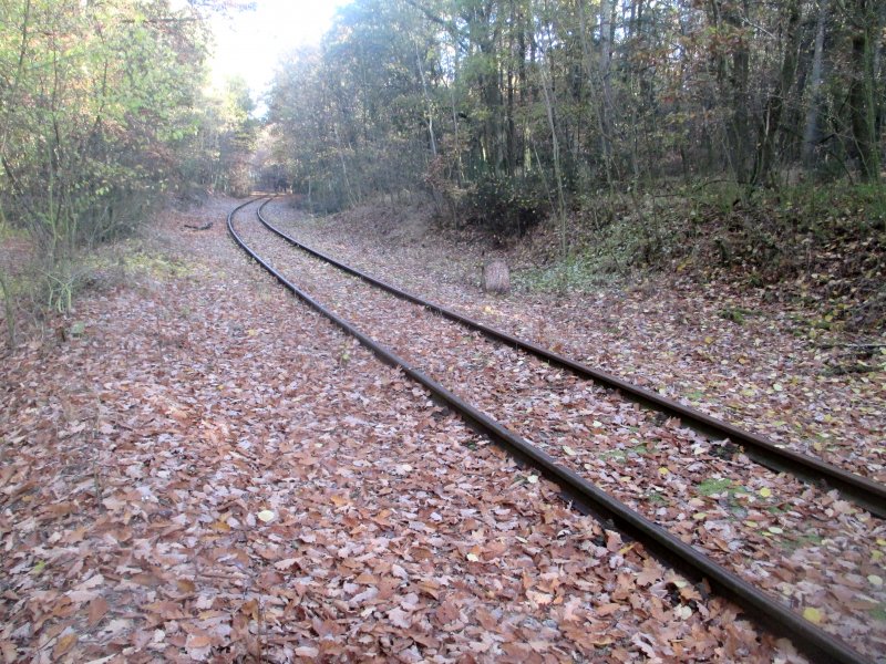fotografie z akce NsL - Zásmuky - Kouřim 15 km